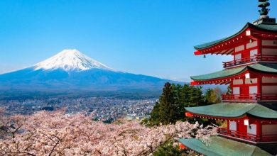 Фото - В 2022 году 5,2 тыс. российских туристов посетили Японию